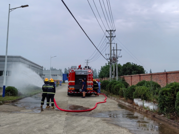 1750063708807986.jpg fd95de321661aa47d3053a3f106ddaa.jpg